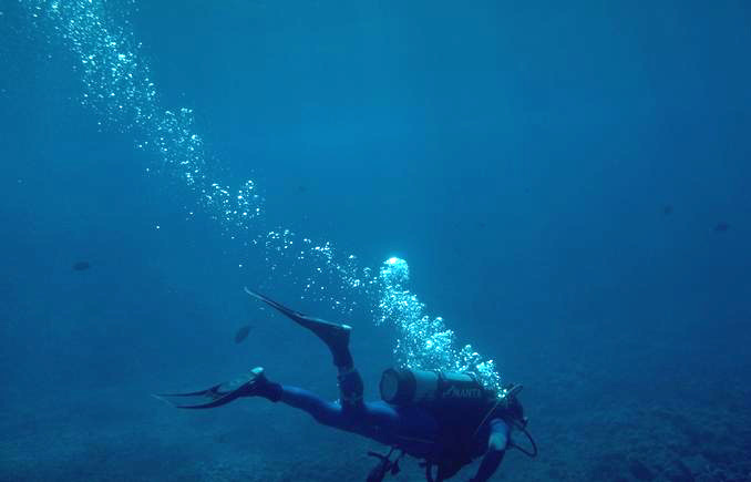 deeperstudy diver